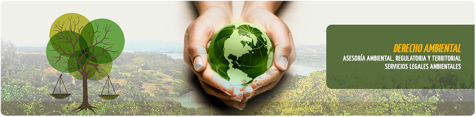 1-ban-derecho-ambiental.png